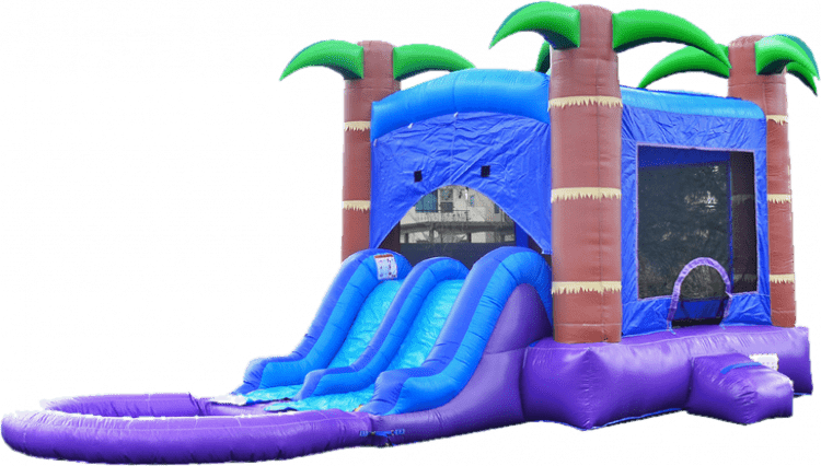 Enchanted Forest Bounce House Water Slide