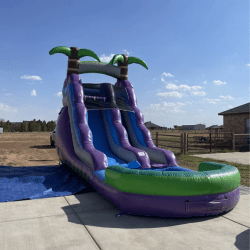 Tropical20Water20Slide 1715535102 Tropical Water Slide with Splash Pool