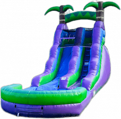 Tropical Water Slide with Splash Pool