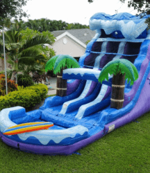 Screenshot202025 02 2320155958 1740348170 GIANT DUAL SLIDE Surf Beach Commercial Grade Water Slide