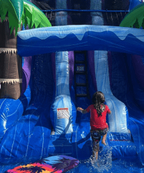 Screenshot202025 02 2320160013 1740348169 GIANT DUAL SLIDE Surf Beach Commercial Grade Water Slide