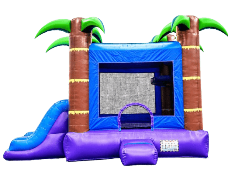Bounce House Rentals